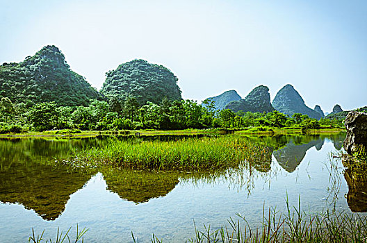 soi cau xo so da nang