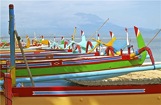 soi cau hoang minh