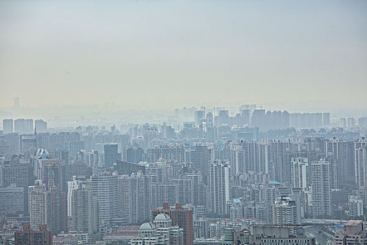 soi cau 6666