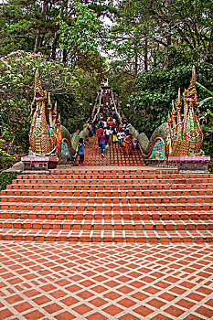 soi cau sieu chuan 24h