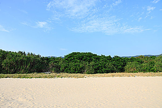 cầu miền bắc hôm nay