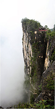 cầu lô tô bạch thủ