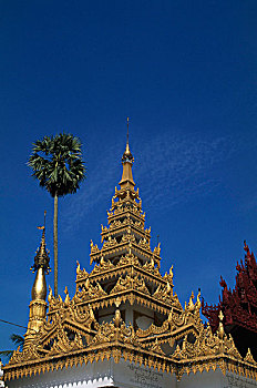 xổ số miền bắc đại phát