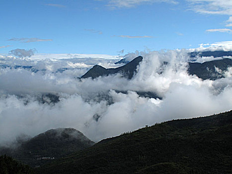 soi cau 3