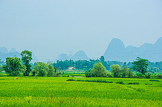 soi cau bach thu loto mb