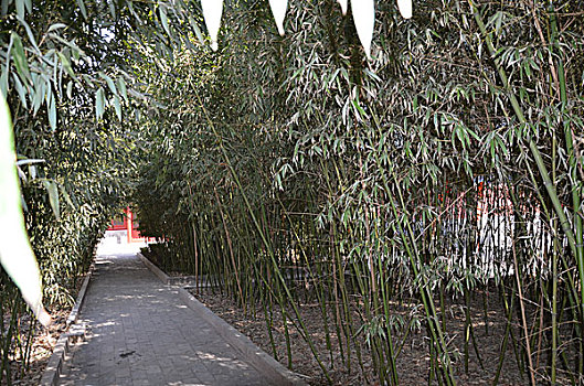 xsmb thu 3 hang tuan