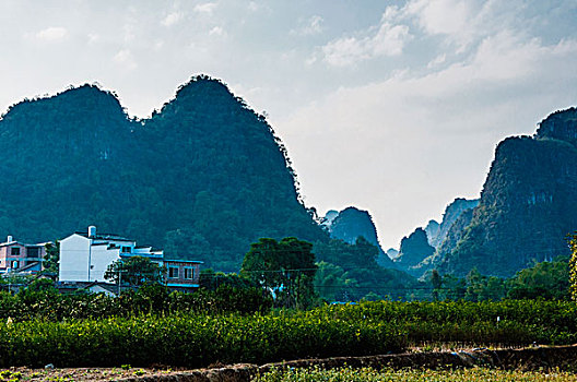 xsmn dự đoán