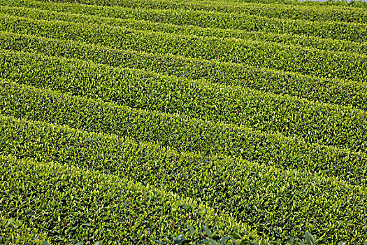 xsmb chủ nhật