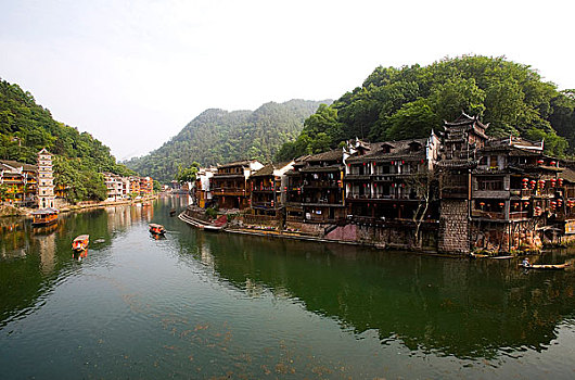 bạch thủ miền bắc