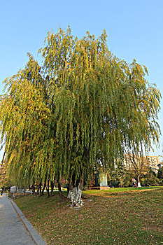 kqxs soi cầu thống kê
