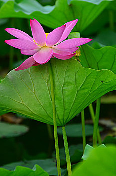 dự đoán thần tài miền nam