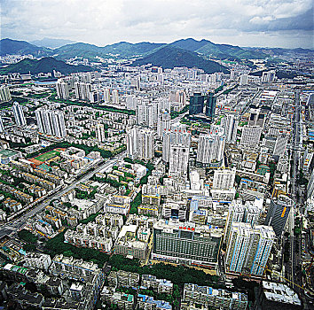 cau mb rong bach kim