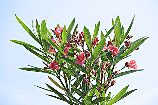 du doan xs phu yen